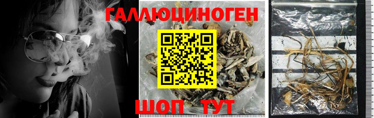 продажа наркотиков  Галлюциногенные грибы Magic Shrooms  Вход с VPN  Чайковский 